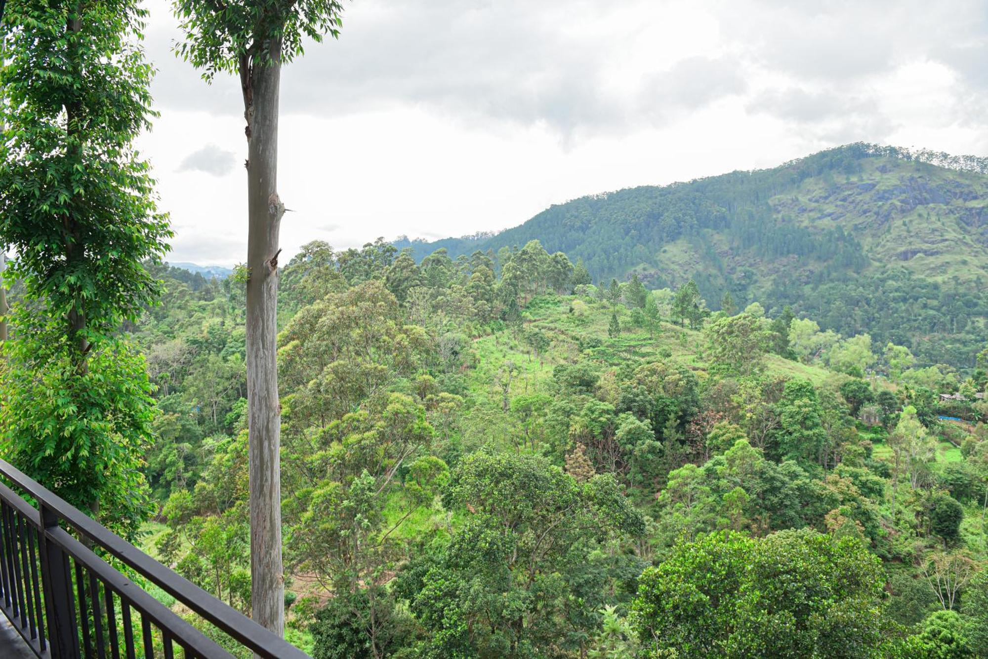 Tea Hills Ella Hotel Luaran gambar