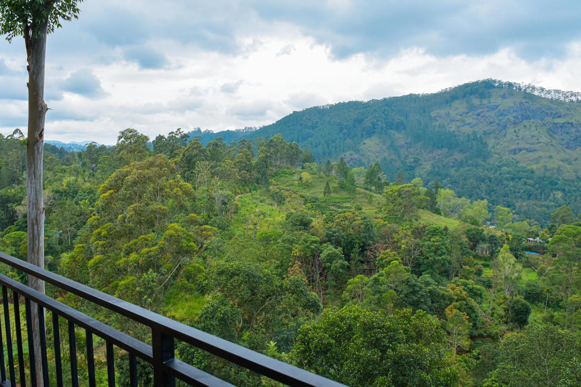Tea Hills Ella Hotel Luaran gambar