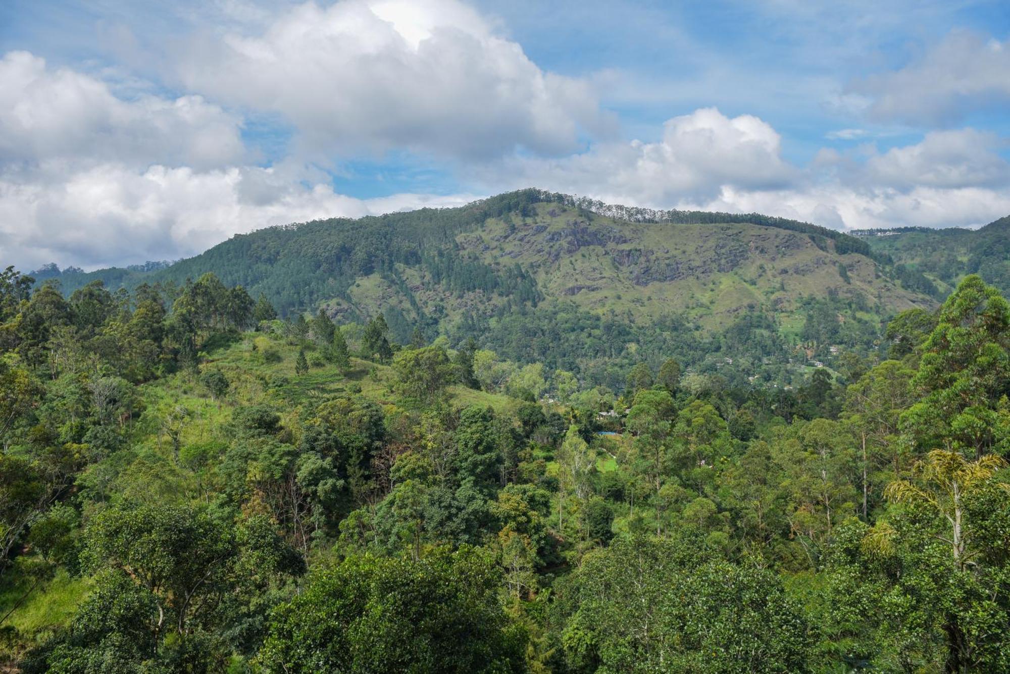 Tea Hills Ella Hotel Luaran gambar